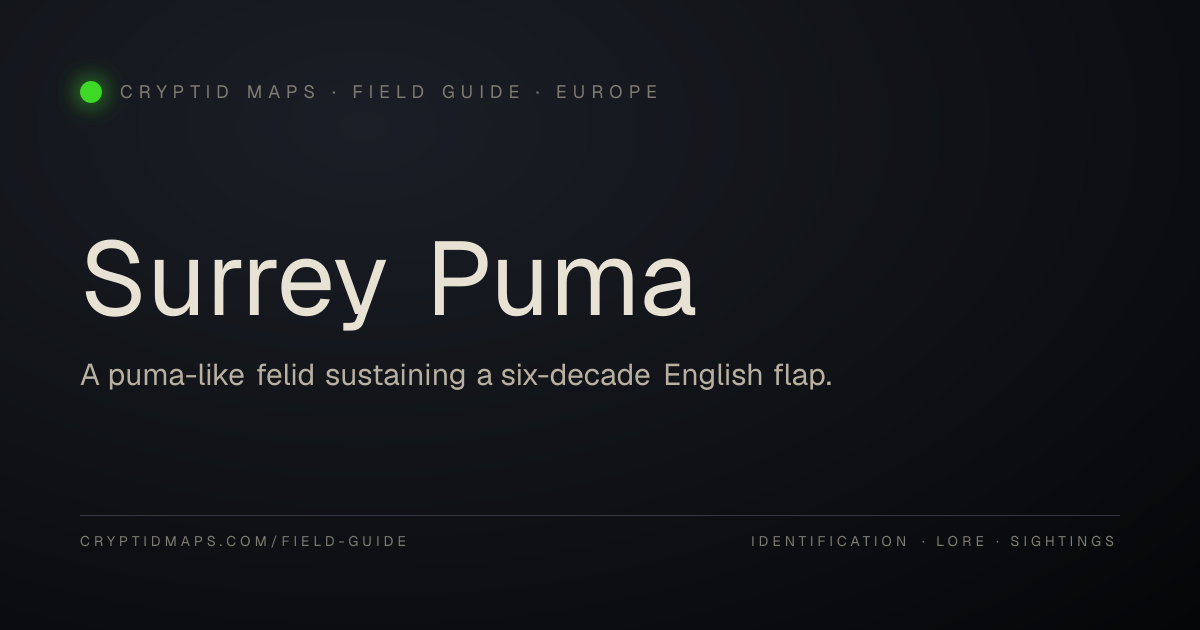 Surrey Puma — Field Guide · Cryptid Maps